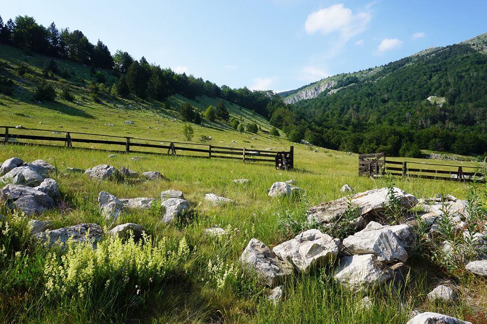 Mountain House Varda Ledenice Экстерьер фото